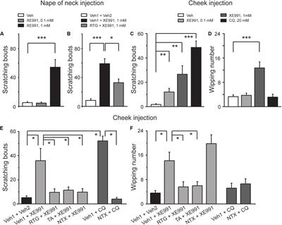 Inhibition of M/Kv7 Currents Contributes to Chloroquine-Induced Itch in Mice